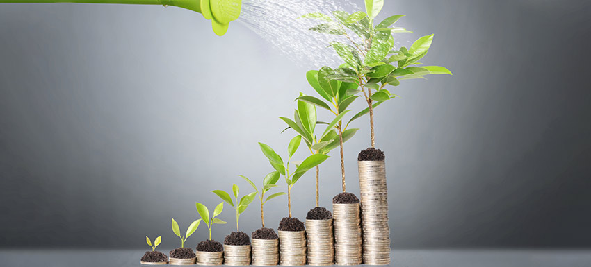 Short Term Investment Options